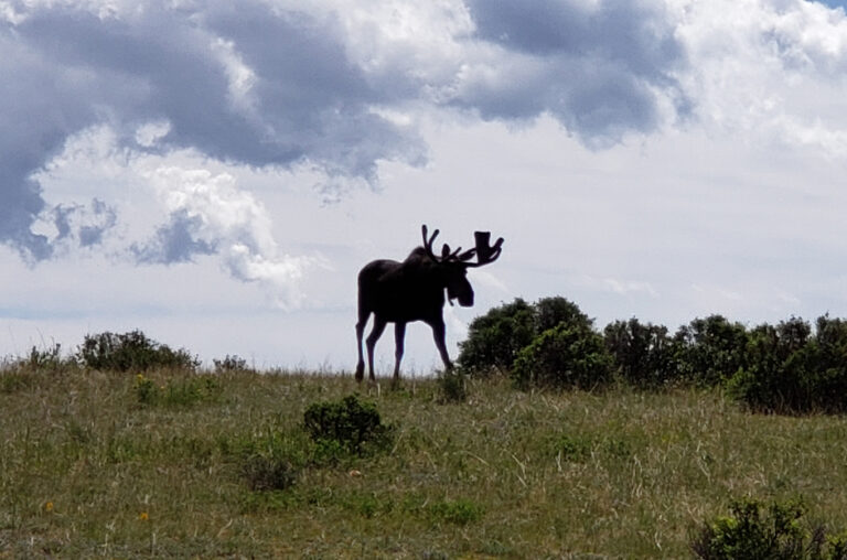 Rocky Mountain National Park