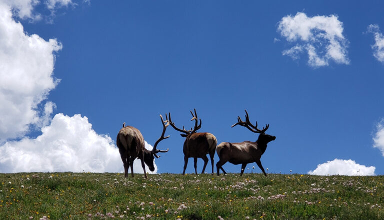 Rocky Mountain National Park