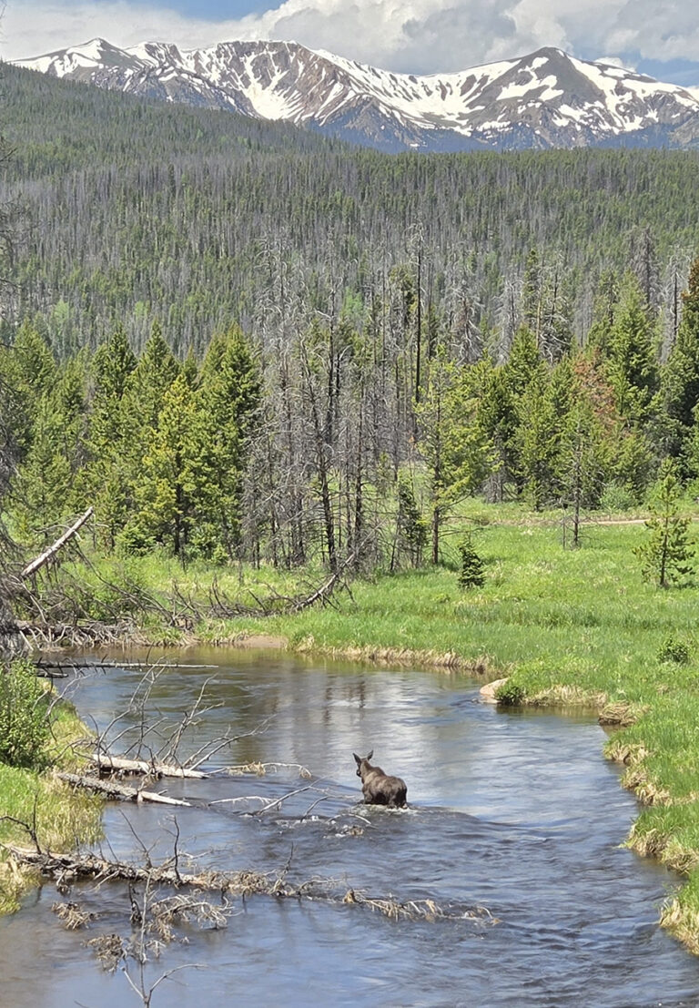 Rocky Mountain National Park