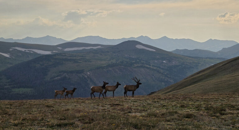Rocky Mountain National Park